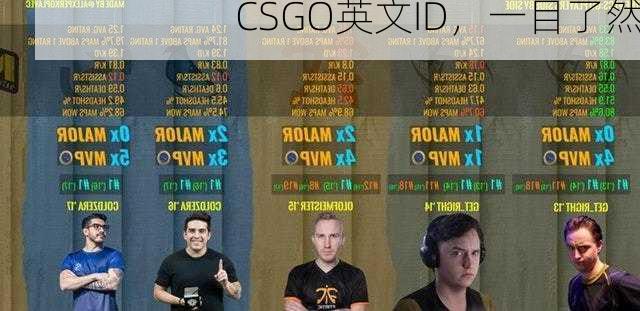 CSGO英文ID，一目了然